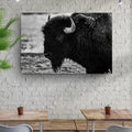 Black and White Bison Canvas Wall Art by Tailored Canvases