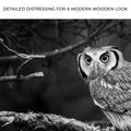 Black And White Owl Canvas Wall Art by Tailored Canvases