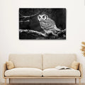 Black And White Owl Canvas Wall Art by Tailored Canvases