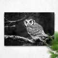 Black And White Owl Canvas Wall Art by Tailored Canvases