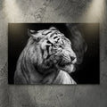 Black And White Smoking Tiger Canvas Wall Art by Tailored Canvases