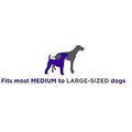 Black+Decker Smart Dog Collar by DailySale
