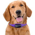 Black+Decker Smart Dog Collar by DailySale