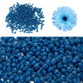 Blue Hard Wax Beans Painless Hair Removal by DailySale
