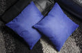 2-Pack: Blue Throw Pillows by DailySale