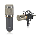 BM800 Professional Condenser Microphone by DailySale