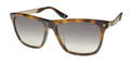 BMW 0002-H Sunglasses by ModaFrames