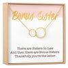 Bonus Sister Necklace, Multiple Styles Necklace