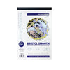 Borden & Riley 120P Bristol 4x6--20 sheets