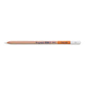 Bruynzeel Pastel Pencils by ShopSketchBox