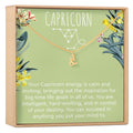 Capricorn Zodiac Gift Necklace by Dear Ava