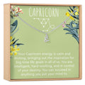 Capricorn Zodiac Gift Necklace by Dear Ava