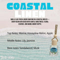 Coastal Linen Car Freshener by Wild Bear Market