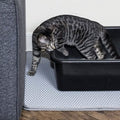 Cat and Rabbit Litter Trap Mat by DailySale