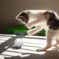 Cat Teaser Ball Automatic Self Rotating Interactive Cat Motion Exercise Toy by DailySale