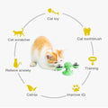 Cat Teases Interactive Pet Toy by DailySale