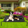 Cats and Dogs Elevated Pet Bed by DailySale