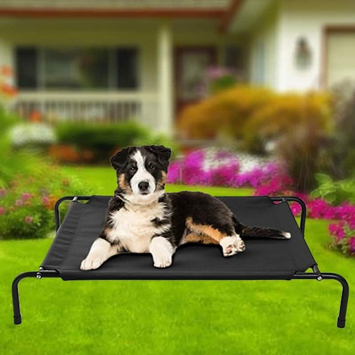 Cats and Dogs Elevated Pet Bed by DailySale