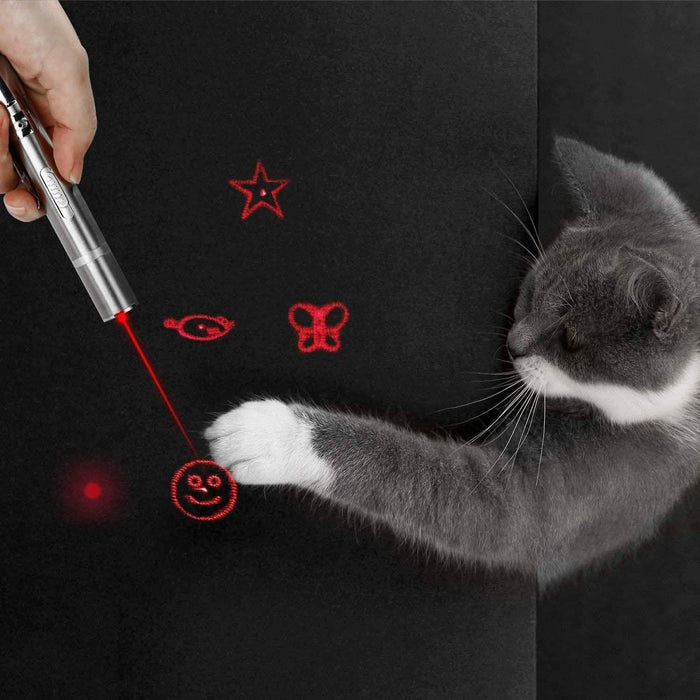 Cats Indoor and Outdoor Laser Toy by DailySale