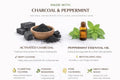 Charcoal & Peppermint Glycerin Bar Soap – Purifying Cleanse by Lulu’s Holistics