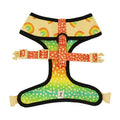 Chasing Rainbows Reversible Harness by Pawmigo