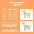 Chasing Rainbows Reversible Harness by Pawmigo