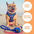 Chasing Rainbows Reversible Harness by Pawmigo