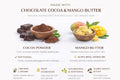 Chocolate Fudge Cocoa Shea Butter Bar Soap – Rich Nourishing Cleanse by Lulu’s Holistics