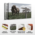 Classic Horse Family Name Sign by Tailored Canvases