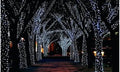 Solar-Powered 100 LED Fairy Light String - Assorted Colors by DailySale
