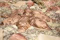 DaDa Bedding Country Rustic Camo Earthy Floral Sandy Beige Green Comforter Set (BM6118L-1) by DaDalogy Bedding Collection