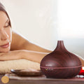 Cool Mist Humidifier Ultrasonic Aromatherapy Diffuser by DailySale