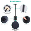 Cordless Portable Rechargeable Table Lamp by DailySale