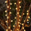 Crystal Globe Solar String Lights by DailySale
