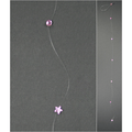 Crystal Line Hair Accessories
