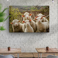 Curious Sheep Canvas Wall Art by Tailored Canvases