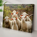 Curious Sheep Canvas Wall Art by Tailored Canvases