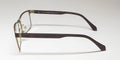 Czone E5201 Eyeglasses by ModaFrames