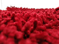 DaDa Bedding Burgundy Red Shaggy Soft Chenille Noodle Carpet Rug Bath Mat by DaDalogy Bedding Collection