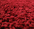 DaDa Bedding Burgundy Red Shaggy Soft Chenille Noodle Carpet Rug Bath Mat by DaDalogy Bedding Collection