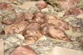 DaDa Bedding Country Rustic Camo Earthy Floral Sandy Beige Green Comforter Set (BM6118L-1) by DaDalogy Bedding Collection