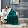 DaDa Bedding Emerald Green Blue Faux Fur Sherpa Throw Blanket by DaDalogy Bedding Collection