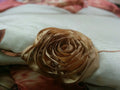 DaDa Bedding Floral Autumn Leaves Warm Bronze Bedspread Comforter Set (BM4304L) by DaDalogy Bedding Collection