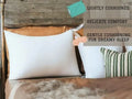 Dada Bedding Luxury 20x28 Pillow Insert - Soft Medium Firm, Premium Polyester, Perfect for Side and Back Sleepers by DaDalogy Bedding Collection