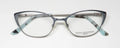 Dana Buchman Aunt Lil Eyeglasses by ModaFrames