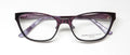Dana Buchman Lyndon Eyeglasses by ModaFrames