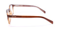 Dereon Dov516 Eyeglasses by ModaFrames