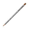 Derwent Graphitint Pencils