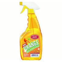 Orange Multi-Purpose Clnr 12x22oz by Pasteur Pharmacy