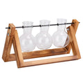 Desktop Glass Bulb Planter by DailySale